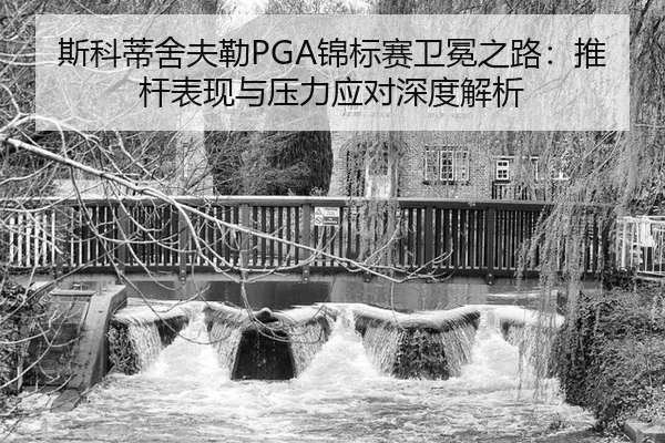 si-ke-di-she-fu-lei-jin-biao-sai-wei-mian-zhi-lu-tui-gan-biao-xian-yu-ya-li-ying-dui-shen-du-jie-xi-2-766.jpg