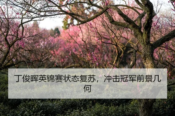 丁俊晖英锦赛状态复苏，冲击冠军前景几何