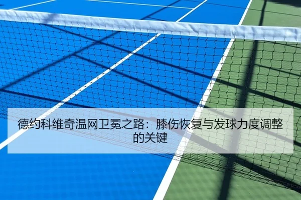 德约科维奇温网卫冕之路：膝伤恢复与发球力度调整的关键