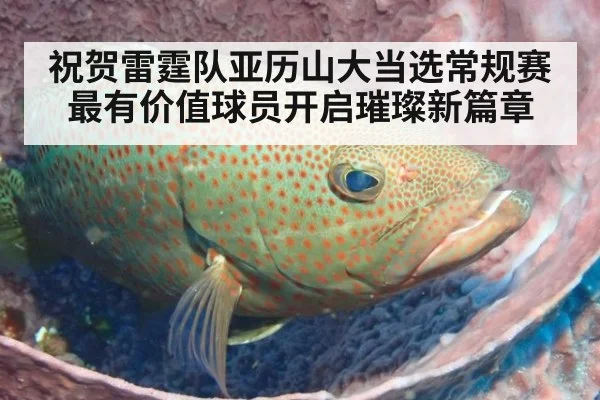 祝贺雷霆队亚历山大当选常规赛最有价值球员开启璀璨新篇章